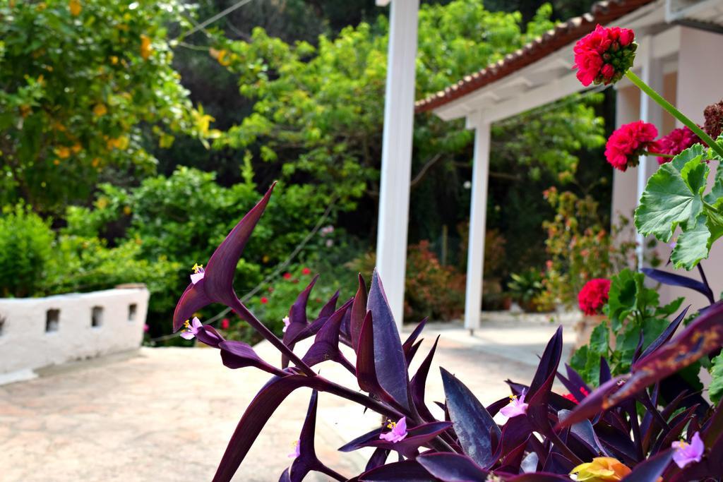 Eden Sea View Studios Mesongi Luaran gambar