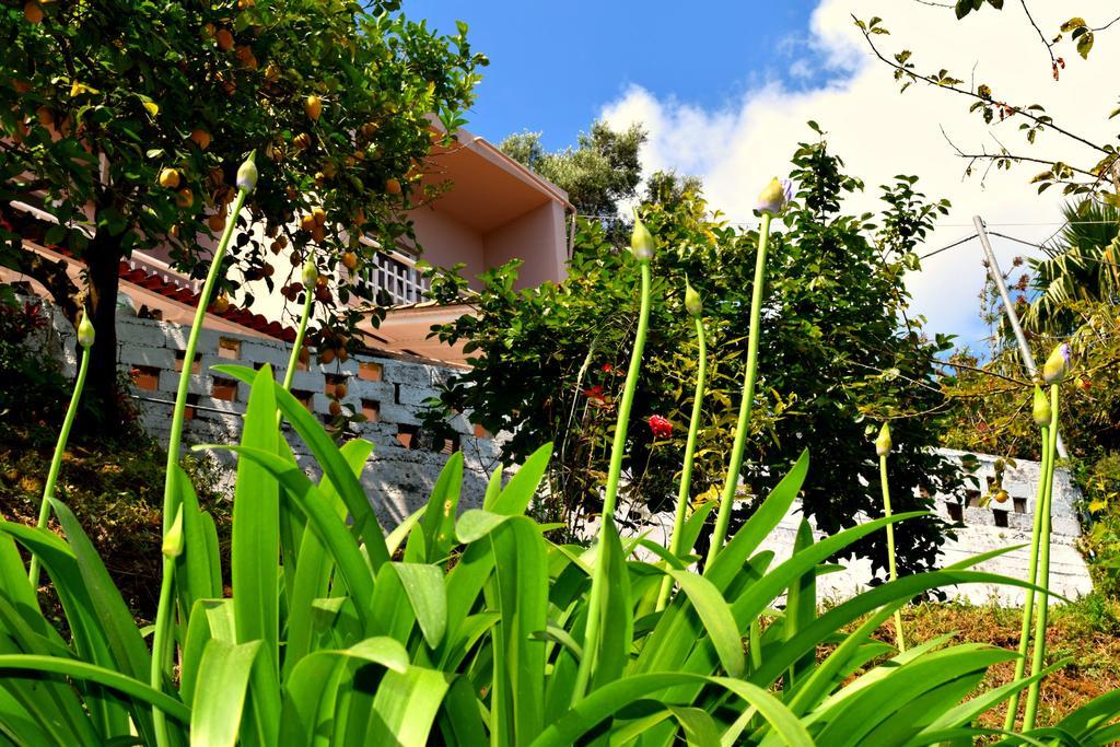 Eden Sea View Studios Mesongi Luaran gambar